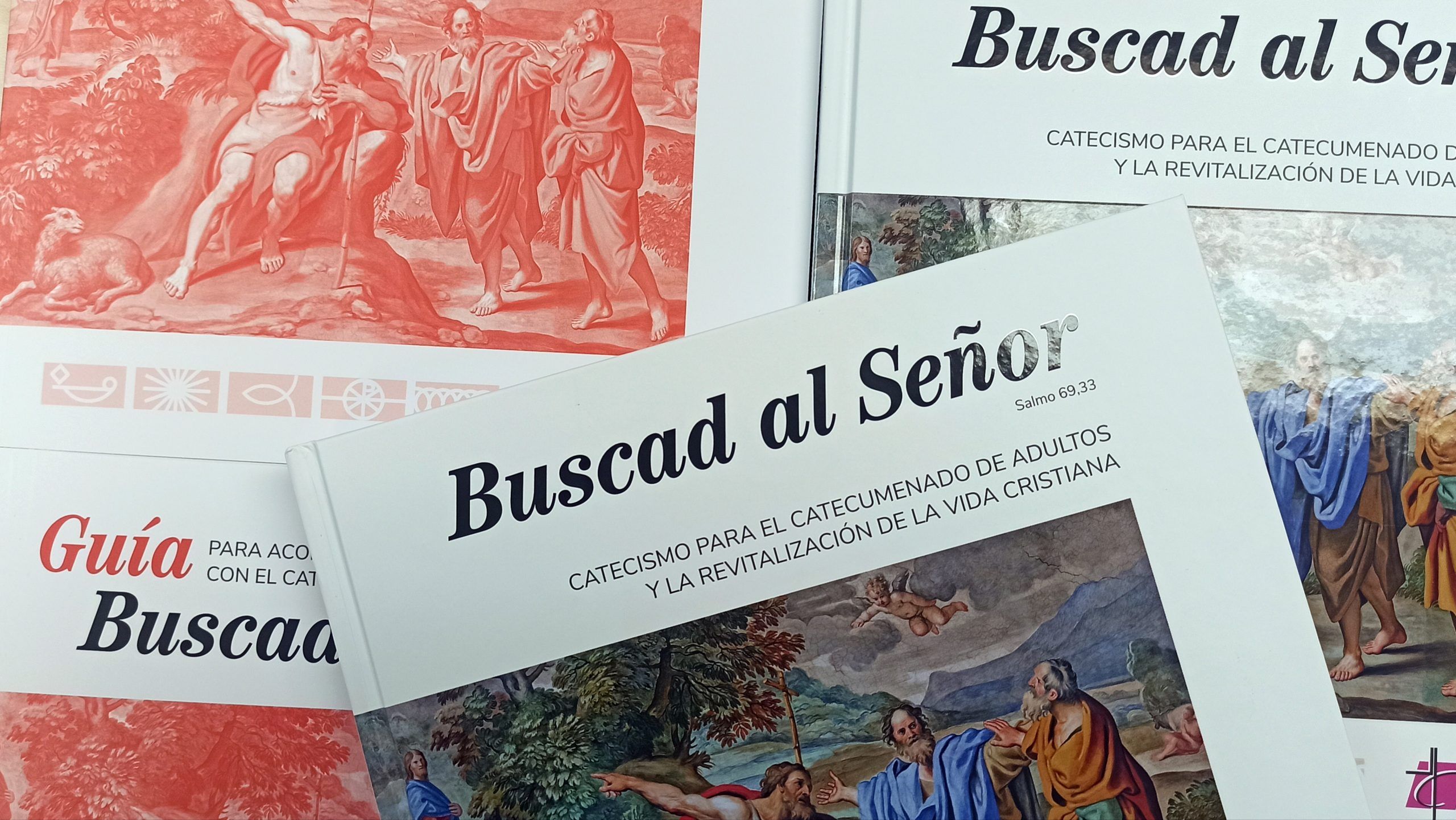 En este momento estás viendo Jornadas para Delegados de Catequesis y Catecumenado