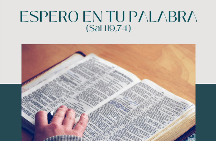 En este momento estás viendo Material para el Domingo de la Palabra y propuestas para hacer eco a lo largo de la semana